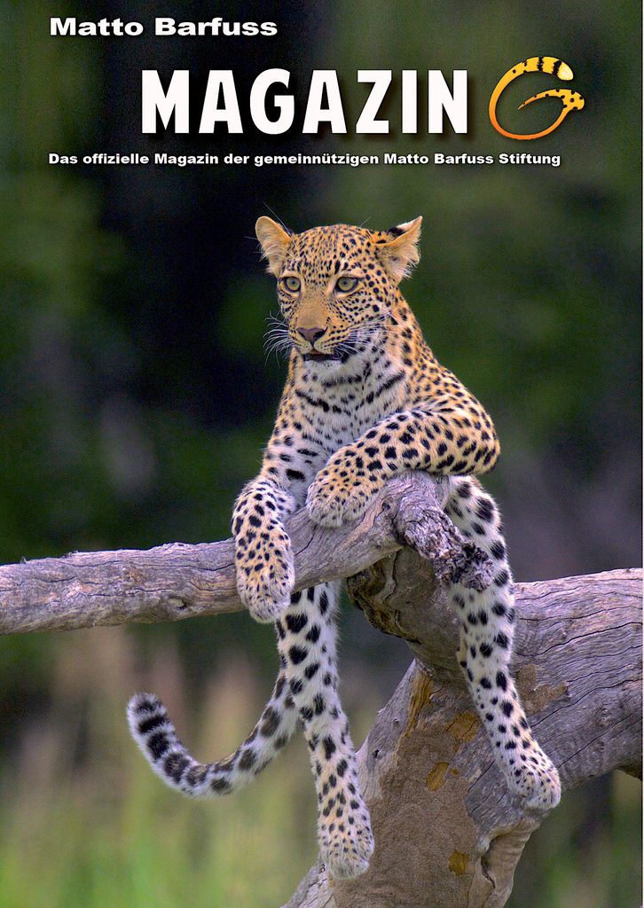 Das Matto Barfuss Magazin
